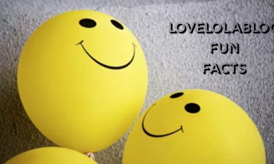 Lovelolablog Fun Facts