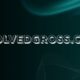 Evolvedgross.com