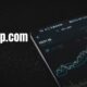 Icostamp.com Review