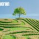 Betametacron