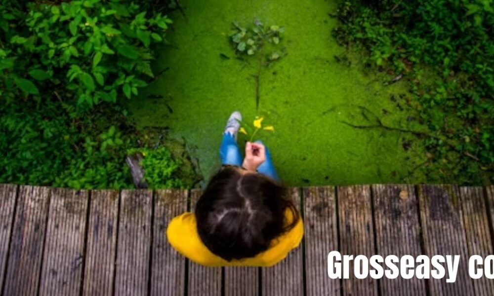 Grosseasy com