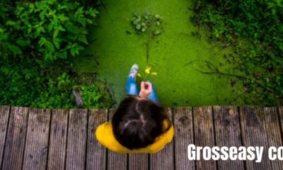 Grosseasy com
