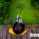 Grosseasy com