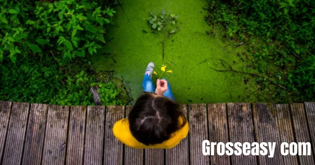 Grosseasy com