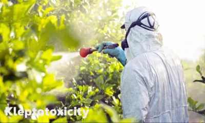 Kleptotoxicity: The Hidden Dangers of Toxin Theft in Nature