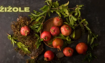 Discovering Žižole: The Hidden Gem of Eastern Europe