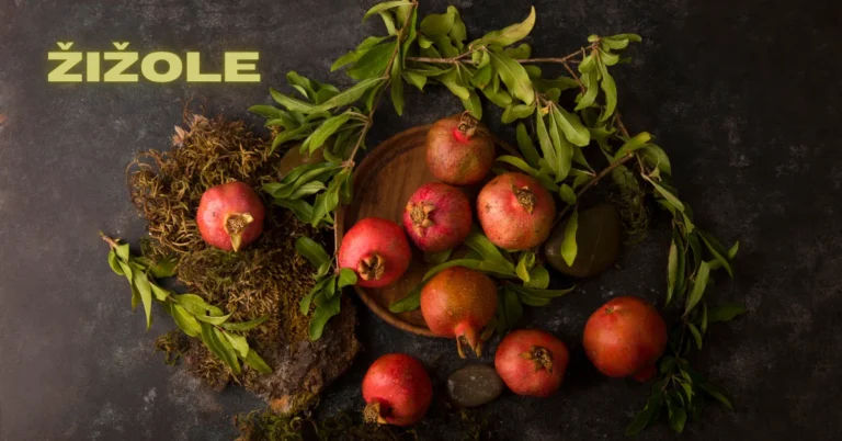 Discovering Žižole: The Hidden Gem of Eastern Europe