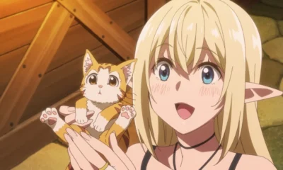 Araachell: The Stories Behind Its Captivating Content