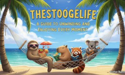 Thestoogelife: A Guide to Unwinding and Enjoying Every Moment