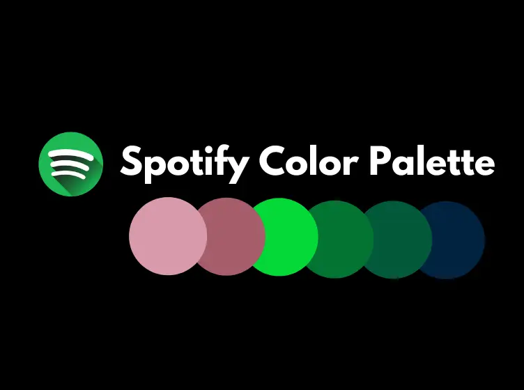 Spotify Color Palette 2024: What is and How to Create Own